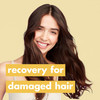 Love Beauty and Planet Coconut Oil Ylang Hope and Repair Shampoo and Conditioner for Dry and Damaged Hair 2 Count 135 oz