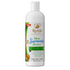 Kachita Spell New Hydrate Moisturizing Shampoo Intense Summer Sulfate and Paraben Free For Medium to Thick Dry Color Tre