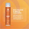 COLURE Body Volume Shampoo 10 Fl Oz Volumizing Hair Wash for Fine Thinning Hair Weightless SulfateFree Cleanser