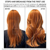 ILES FORMULA Shampoo for Dry Damaged Frizzy or Color Treated Hair Hydrating Sulfate Free Shampoo Salon Grade Color Safe