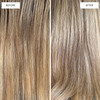 dpHUE Cool Blonde Shampoo 85 oz Purple Pigments Neutralize Unwanted Yellow Brassy Hair Tones Color Safe Paraben SLS SLES