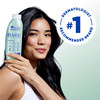 Head Shoulders AntiDandruff Shampoo and Conditioner BARE Pure Clean 2in1 Twin Pack 1 Pyrithione Zinc Scalp Care SulfateF