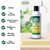 Acne Zap Shampoo for Scalp Acne Clear Scalp from Acne Zits and Pimples 60 oz