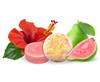 Sweet Sassy 1 Shampoo Bars 1 Conditioner Bar Made in the USA All Natural Organic SLS Free Plastic Free Safe for Color Tr