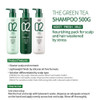 AMOS PROFESSIONAL The Green Tea Shampoo Fresh For Oily Scalp 176oz 500g AntiThinning Anti Hair Loss Shampoo for Hair Gro