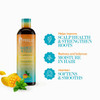Mielle Organics Mango Tulsi Nourishing Hair Shampoo Moisturizing Shampoo for Curly Hair Gently Cleanses Remove Scalp Imp