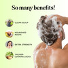 Clarifying Shampoo for Build Up Oily Hair Tea Tree Shampoo for Men and Women with Rosemary Essential Oil for Oily Hair a