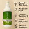 Wellness Premium Organic Hemp Shampoo Natural Hair Growth Shampoo with Organic Infusion Hemp Seed Oil Hair Loss Color Sa