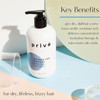 Prive Moisture Rich Shampoo Extreme Hydration Infused with Shea Butter Great for All Hair Types Color Safe 12 oz