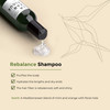 Lazartigue Rebalance Shampoo Rice Vinegar Spirulina Purifies Oily Roots Balances Moisture Vegan Sulfate Silicone Free 84
