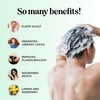 Clarifying Shampoo for Oily Hair and Scalp Degrease Deep Cleansing Shampoo Build Up Remover with Rosemary Oil for Greasy