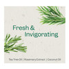 Renpure Plant Based Tea Tree and Rosemary Refresh and Rebalance Shampoo Soothes Dry Scalp Delivers Moisture and Shine Ri