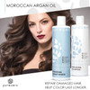 Purezero Moroccan Argan Oil Shampoo Conditioner set Repair Damaged Hair Fight Dandruff Frizz Zero Sulfates Parabens Dyes