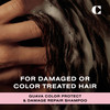 Ceremonia Guava Protect Repair Shampoo with Aloe Vera for Damaged and Color Treated Hair 845 Fl Oz 250 mL