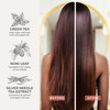 CIBU Color Shampoo 30011 for Dry ColorTreated Hair Gently Cleanses Hydrates and Strengthens Revitalize Hair and Scalp Re