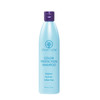Ovation Color Protection Shampoo Brightens and Hydrates Treated Hair 12 oz With Rice Bran Avocado Passionfruit Seed Oils