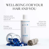 AIIR Sapphire Shampoo Natural Hair Growth Shine Formula Crystal Infused Vegan SulfateFree ColorSafe Professional Hair Ca