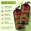 Rosemary Shampoo and Conditioner for Hair Growth Sulfate Free Organic Rosemary Oil Shampoo De Romero Para Crecimiento Pr