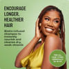 Mielle Organics Rosemary Mint Hair Strengthening Biotin Shampoo Moisturizing Hair Shampoo for Women and Men to Gently Cl