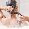 Everist The Shampoo Concentrate Waterless BondRepair Cream Shampoo for All Hair Types Glycerin Aloe Hydration with Rosem