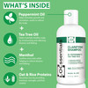 LOCssentials Clarifying Shampoo for Locs Professional Loc Shampoo for Dreads Twists Braids Interlocks Microlocs Dreadloc