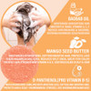 Luxiny Mango Shampoo and Conditioner Bar Set SulfateFree 1 Shampoo Bar 60g 1 Conditioner Bar 50g for NormalDry Damaged H