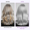 Botanic Hearth Purple Shampoo And Conditioner Set For All Shades Of Blonde Silver And Gray Hair Enhances Highlights Sulf