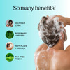 Rosemary Tea Tree Mint Shampoo Clarifying Shampoo for Build Up and Flakes with Deep Cleansing Peppermint Oil and Tea Tre