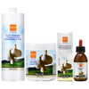 Ever Ego Garlic 338oz Each Shampoo Mask and Garlic Lotion 425oz Set