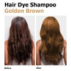 Agthyuve Hair Dye Shampoo 3 in 1 SemiPermanent Hair Color Blonde Brown Hair Dye Safe Professional Easy To Use For Salon