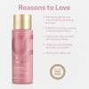 Colorproof Smooth Shampoo 85Oz For Frizzy ColorTreated Hair Smooths Softens Controls Frizz SulfateFree Vegan