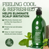 Luseta Tea Tree Shampoo with Argan Oil 169 Fl oz ClarifyingHydrating and Fighting Dandruff and Itchy Scalp For Damaged a
