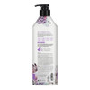 Kerasys Elegance Sensual Perfumed Shampoo 600 mL