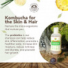 Nature Sustained Natural Shampoo Organic Raw Wildcrafted with Probiotics Hypoallergenic Natural Sulfate Free Shampoo for