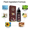 DISAAR Beauty Speedy Hair Color Shampoo 100 Cover Gray White Hair Easy To Use Long Lasting 400ml1353floz Burgundy Red