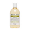 Phillip Adam Verbena Sage Shampoo for Shiny Hair Sulfate Free and Paraben Free For All Hair Types 12 Fl Oz