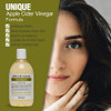 Phillip Adam Verbena Sage Shampoo for Shiny Hair Sulfate Free and Paraben Free For All Hair Types 12 Fl Oz