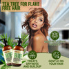 Tea Tree Oil Shampoo and Conditioner Set Sulfate and Paraben Free Treatment for Oily Hair and to Help Reduce Your Itchy