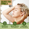 Tea Tree Oil Shampoo and Conditioner Set Sulfate and Paraben Free Treatment for Oily Hair and to Help Reduce Your Itchy