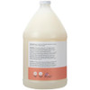 Ginger Lily Farms Salon Formula FrizzFreeze Pro AntiFrizz Shampoo for Frizzy Hair 100 Vegan CrueltyFree 1 Gallon 128 fl