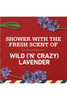 Old Spice 2 in 1 Shampoo and Conditioner Relax with Lavender Scent 219 Ounce Pump Bottle Pack of 2