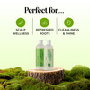 Tea Tree Shampoo and Conditioner Set Sulfate Free Clarifying Shampoo and Conditioner for Oily Hair Scalp Care with Clean