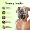 Tea Tree Shampoo and Conditioner Set Sulfate Free Clarifying Shampoo and Conditioner for Oily Hair Scalp Care with Clean