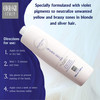 Ever Ego Italy Color Maintain Silver Shampoo For Bleached Blonde and Grey Hair Revitalizing And Moisturizing Hair Care P