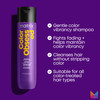 Matrix Color Obsessed Antioxidant Shampoo Enhances Hair Color Prevents Fading For Color Treated Hair Cruelty Free Salon