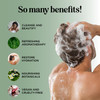 Invigorating Tea Tree Mint Shampoo Rosemary Mint Shampoo for Oily Hair with Tea Tree Oil for Hair Aromatherapy Clarifyin