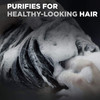 Dove MenCare Shampoo For HealthyLooking Hair Charcoal Clay Naturally Derived Plant Based Cleansers 204 oz