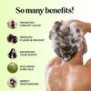 Sulfate Free Shampoo and Conditioner Set Tea Tree Sage and Rosemary Shampoo and Conditioner for Dry Flaky Scalp Care Dee