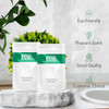 ECO Sachet Individually Wrapped Toiletries Travel Size Bulk Shampoo and Conditioner 2in1 10ml 100 pk Mini Hotel Toiletri