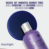 OLIGO PROFESSIONNEL Blacklight Blue Shampoo SulfateFree Blue Shampoo for Blonde and Color Hair Revive Treated Hair Refre